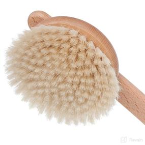 img 3 attached to 🪡 Redecker 2-inch Beechwood Brush with Natural Bristles