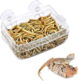 img 4 attached to 🦎 Transparent Suction Cup Reptile Feeder for Gecko, Snakes, Iguanas, and Lizards - ViaGasaFamido Amphibian & Reptile Anti-Escape Food Bowl