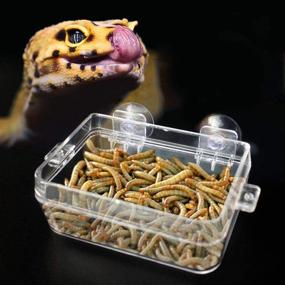 img 1 attached to 🦎 Transparent Suction Cup Reptile Feeder for Gecko, Snakes, Iguanas, and Lizards - ViaGasaFamido Amphibian & Reptile Anti-Escape Food Bowl