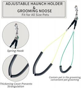 img 3 attached to CHAOLUN Dog Grooming Kit: No Sit Haunch Holder & Adjustable Nylon Loop Noose For Small, Medium, And Large Dogs