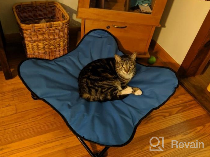 img 1 attached to Medium Red Padded Napper Cot Space Saver Pet Bed - HDP Elevated review by Jason Nguyen