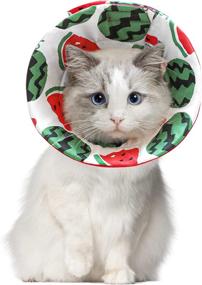 img 4 attached to ComSaf Lightweight Cat Recovery Collar - Adjustable Soft Elizabeth Cone Collar for Post-Surgery Cats and Kittens, Prevents Licking Wounds, Loops for Protective Healing, Non-Obstructive Vision