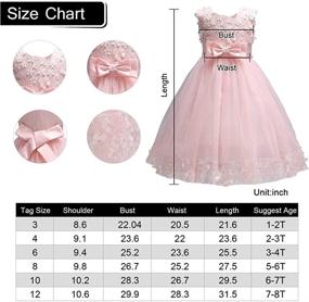 img 1 attached to Elegant Lace Tulle Princess Party Dress For Flower Girls At Weddings, Bridesmaids, Baby Girl Pageants, And Baptisms - Acecharming