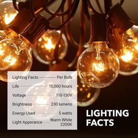 img 1 attached to HBN 100ft Outdoor String Lights - Premium Incandescent Bulbs for Garden, Patio, Porch, Courtyard & More | Dimmable, Waterproof & Warm 2200K White | 102 G40 Bulbs + 2 Extra