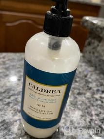 img 5 attached to Caldrea Hand Lotion, For Dry Hands, Made With Shea Butter, Aloe Vera, And Glycerin And Other Thoughtfully Chosen Ingredients, Basil Blue Sage Scent, 10.8 Oz (Packaging May Vary)