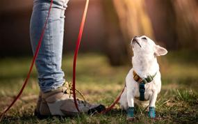 img 3 attached to Breathable Waterproof Dog Boots for Small Medium Dogs - SONKONIA Dog Shoes, Anti-Slip Booties for Hot Pavement, Puppy Paw Protector with Reflective Strap (4PCS)