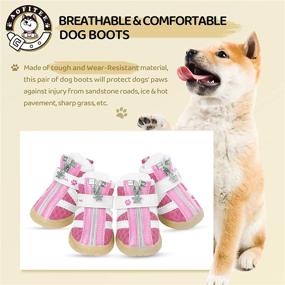 img 3 attached to AOFITEE Breathable Protector Waterproof Lightweight Dogs