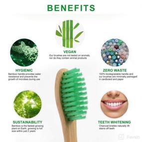 img 3 attached to Toothbrushes Biodegradable Reusable Eco Friendly Multi Color