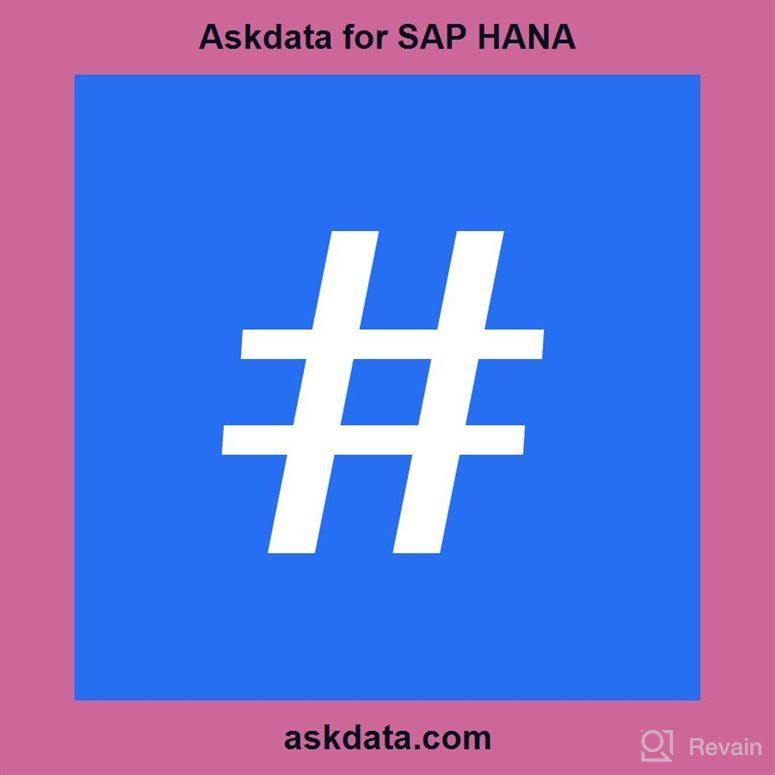 img 1 attached to Askdata for SAP HANA review by Robert Lemons