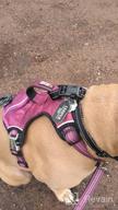 img 1 attached to Say Goodbye To Pulling With GoodBoy Dog Head Halter - Safety Strap And Padded Headcollar For All Dog Sizes (Size 2, Black) review by Derick Carpenter