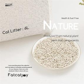 img 2 attached to Fatcatjoy Flushable Natural Scoopable 5 5Lbx3Pack