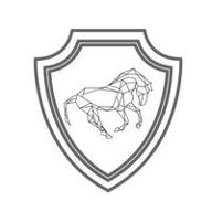 practical horse logo