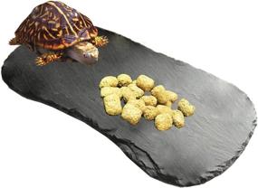 img 4 attached to 🐢 Reptile Basking Platform: Tfwadmx Tortoise Rock Plate - Feeding, Food Bowl, Dish Slate for Lizard, Gecko, Bearded Dragon, Chameleon, Snake, Frog - Bathing & Resting Platform