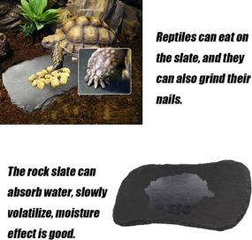 img 1 attached to 🐢 Reptile Basking Platform: Tfwadmx Tortoise Rock Plate - Feeding, Food Bowl, Dish Slate for Lizard, Gecko, Bearded Dragon, Chameleon, Snake, Frog - Bathing & Resting Platform