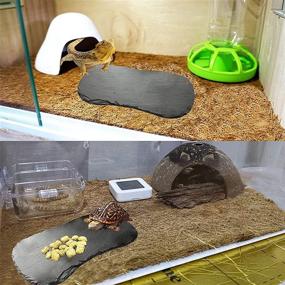 img 3 attached to 🐢 Reptile Basking Platform: Tfwadmx Tortoise Rock Plate - Feeding, Food Bowl, Dish Slate for Lizard, Gecko, Bearded Dragon, Chameleon, Snake, Frog - Bathing & Resting Platform