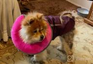 img 1 attached to GoodBoy Pink Inflatable Donut E-Collar For Dogs & Cats – Comfortable Post Surgery Or Wound Recovery Collar (2) review by Miguel Yurco