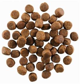 img 4 attached to Dry food for adult dogs of all breeds GO! Carnivore grain-free, chicken, turkey, duck, salmon 1 pack. x 1 pc. x 9.98 kg
