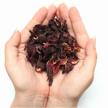 hibiscus tea. 200g. whole flowers, half flower, large leaf. hibiscus. (carcade) logo