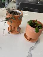 img 1 attached to Set Of 2 - 4.5" Terracotta Clay Plant Pots W/ 3 Legs & Saucer | Indoor Succulent Planters review by Mark Crawford
