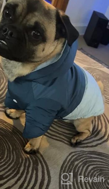 img 1 attached to M Blue Cozy Warm Hoodie Pet Clothes: Stylish Cotton Puppy Winter Coat With Hooded For Small Dogs Walking, Hiking & Travel In Cold Weather review by Christopher Cheek