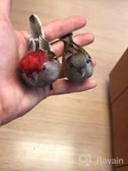 img 1 attached to 10Cm LWINGFLYER Artificial Sparrow Ornaments For DIY Wedding Decoration Crafts review by Savannah King
