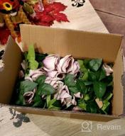 картинка 1 прикреплена к отзыву Набор из 2 14-футовых белых искусственных розовых гирлянд с зелеными листьями для свадебной арки, вечеринки, сада, ремесел и домашнего декора - UKELER от Brian Sitton