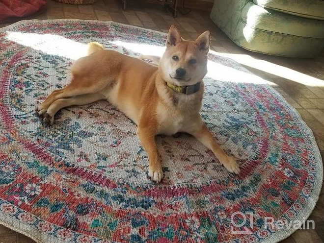 img 1 attached to Softwoven Runner Rug: 90% Cotton, Machine Washable, Non-Slip & Pet Friendly - Traditional Vintage Blue Multi Flower For Living Room Or Hallway review by Carri Taylor