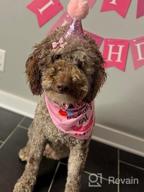 img 1 attached to Make Your Dog'S Birthday Special With GAGILAND Birthday Party Set - Dog Bandana, Hat, Banner & More In Pink With Balloon! review by Troy Tec
