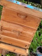 картинка 1 прикреплена к отзыву Complete 8 Frame Beehive Kit With Fully-Coated Beeswax Frames And Foundation Sheet (2-Layer) For Optimal Beekeeping Performance от Ken Barnett