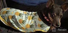 img 7 attached to Stay Stylish And Cool With SGQCAR'S Sunflower Dog Shirts - 2 Pack Of Soft And Breathable Sleeveless T-Shirts For Small To Medium Dogs And Cats - Great Summer Clothes And Pet Costumes!