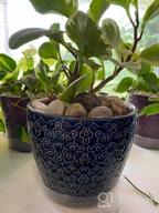 img 1 attached to Set Of 2 Blue Ceramic Plant Pots With Drainage Hole For Snake Plants, Orchid, Succulent, Cactus - 5.5 + 6.5 Inch Indoor Flower Pots For Indoor And Outdoor Gardens By DeeCoo review by Junior Andreano