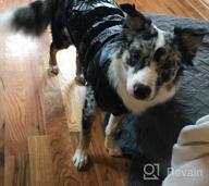 img 1 attached to Keep Your Furry Friend Warm During Cold Weather With Vedem'S Fleece Puffer Vest Coat - Perfect For Cats And Small Dogs (XS, Black) review by Chris Elam