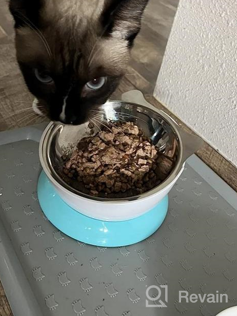 img 1 attached to Stainless Steel Elevated Cat Bowl – Tilted Cat And Small Dog Food Bowls To Improve Digestion And Reduce Neck Strain – Easy-To-Clean Cat Feeder With Sturdy, Nonslip Base By AmazinglyCat review by William Kava