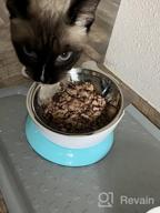 img 1 attached to Stainless Steel Elevated Cat Bowl – Tilted Cat And Small Dog Food Bowls To Improve Digestion And Reduce Neck Strain – Easy-To-Clean Cat Feeder With Sturdy, Nonslip Base By AmazinglyCat review by William Kava