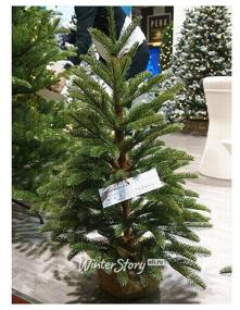 img 2 attached to Fir artificial National Tree Company Norwegian in pouch, 91 cm