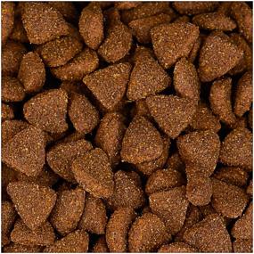 img 4 attached to Dry dog ​​food Gemon lamb 1 pack. x 1 pc. x 15 kg
