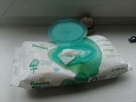 img 2 attached to Pampers Aqua Pure Wipes Pack Diapering for Wipes & Holders review by Dana Simionescu ᠌