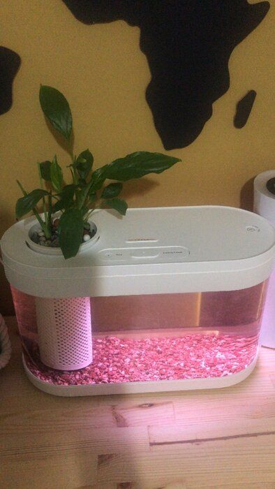 img 1 attached to Xiaomi Geometry Fish Tank Aquaponics Ecosystem C180 Standart Set - 8L Aquarium with Soil, Filter, and Cover - White review by Ada Strzelczyk ᠌