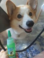 img 1 attached to Tropiclean Fresh Breath Teeth Cleaning Gel with Vanilla and Mint for Dogs, 59 ml review by Vinay Kedia ᠌