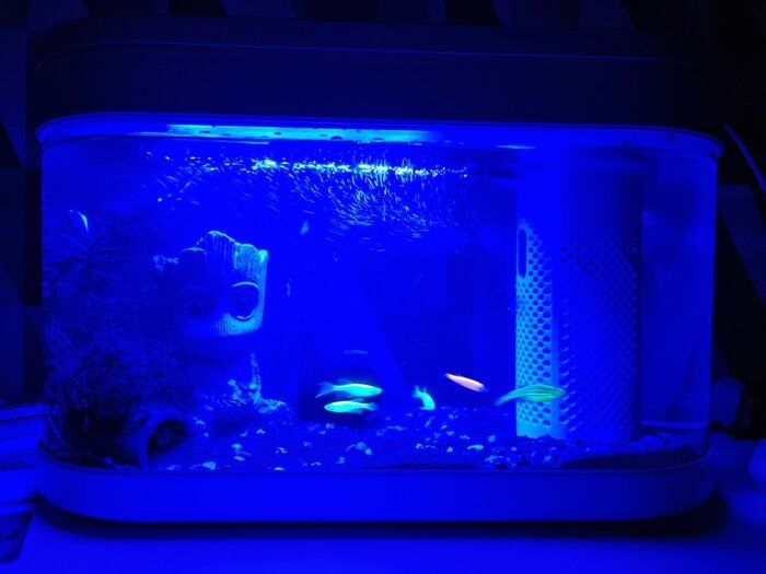 img 2 attached to Xiaomi Geometry Fish Tank Aquaponics Ecosystem C180 Standart Set - 8L Aquarium with Soil, Filter, and Cover - White review by Anastazja Krewetka ( ᠌