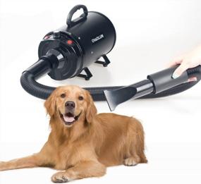 img 2 attached to Professional Dog Grooming Dryer With Heater And Stepless Adjustable Speed - CHAOLUN High Velocity Pet Blow Dryer With 3 Nozzles And Comb, Ideal For Efficient Dog Hair Drying, Black
