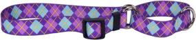 img 1 attached to Yellow Dog Design Martingale X Small Cats via Collars, Harnesses & Leashes