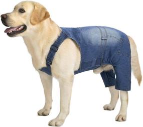 img 4 attached to 👖 Miaododo Medium Large Dog Jeans Jumpsuit Overall: Fashionable Blue Vintage Washed Dog Clothes for All-Purpose Styling