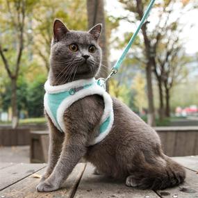 img 3 attached to 🐾 Escape Proof Cat Harness and Leash Set - Soft Plush Vest for Walking Outdoor, Adjustable Easy Control Pet Harness with Reflective Strap - Ideal for Puppy, Kitten, Rabbit, and Ferrets