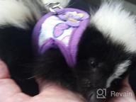 img 1 attached to Soft & Adjustable Handmade Harness Vest And Leash Set For Small Pets - Hamsters, Rats, Iguanas, Bearded Dragons, And Ferrets In Purple review by John Lewis