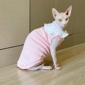 img 2 attached to ZARYIEEO Hairless T Shirts Breathable Adorable Dogs