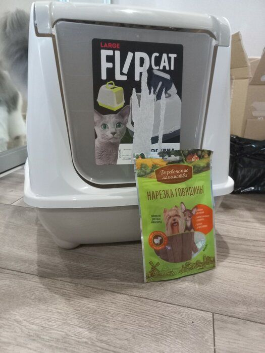 img 1 attached to 🐱 Modern Flip Grey Cat Litter Box with Warming Features review by Barbara Sikora ᠌