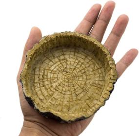 img 1 attached to 🦎 Resin Reptile Natural Bowl Food and Water Dish (Tree Bark) by OMEM