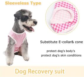 img 3 attached to Etdane Post Operative Alternative Abdominal Protector Dogs