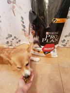 img 3 attached to Dry dog ​​food Pro Plan Opti Balance for medium breeds with chicken 3 kg review by Felicja Kowalska ᠌